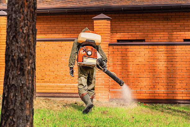 Trusted Rodent Control service in Aventura, FL - Nex Pest Control
